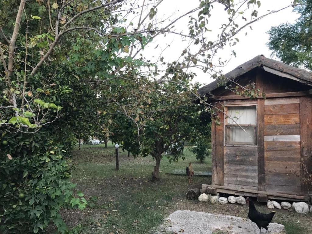 Hane-I Keyif Pension Çıralı Exterior foto